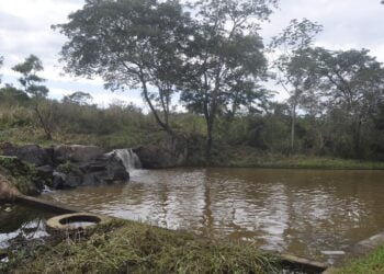 Secretaria de Meio Ambiente começa a limpeza de duas reservas ecológicas de Piripiri