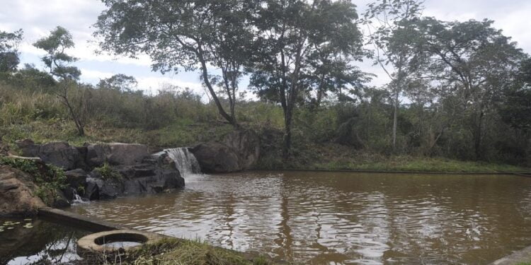 Secretaria de Meio Ambiente começa a limpeza de duas reservas ecológicas de Piripiri