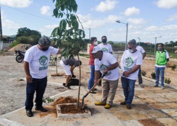 Semana do Meio Ambiente tem prosseguimento até o próximo sábado