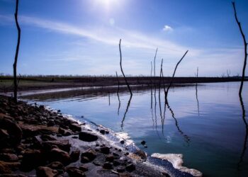 Conta de luz deve subir 15% a partir de julho com reajuste da bandeira vermelha