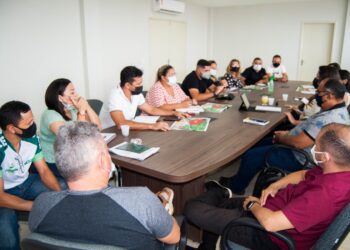 planejamento e programação do festejo de N.S. dos Remédios