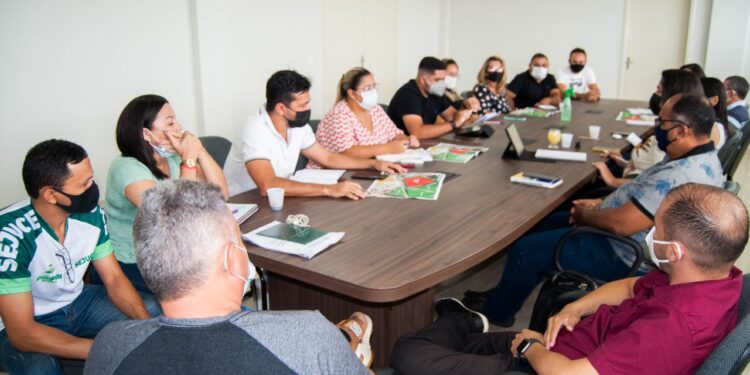 planejamento e programação do festejo de N.S. dos Remédios