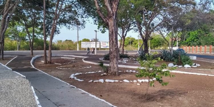 Semad intensifica trabalho de limpeza das ruas, praças e avenidas