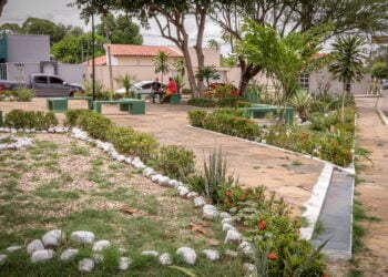 Prefeitura de Piripiri avança com revitalização de logradouros públicos nas zonas urbana e rural