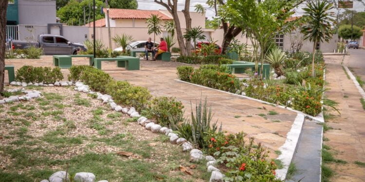 Prefeitura de Piripiri avança com revitalização de logradouros públicos nas zonas urbana e rural