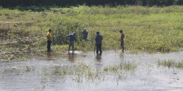 Prefeitura inicia limpeza das margens do açude Caldeirão