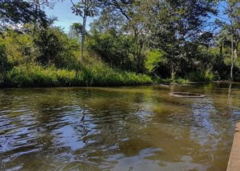 Secretaria do Meio Ambiente de Piripiri faz manutenção da Cachoeira da Conceição