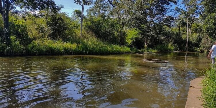Secretaria do Meio Ambiente de Piripiri faz manutenção da Cachoeira da Conceição