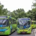 Ônibus devem voltar a circular após o meio-dia desta terça, diz Sintetro