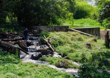Secretaria do Meio Ambiente de Piripiri realiza trabalho de conservação da Barragem do Horto Florestal