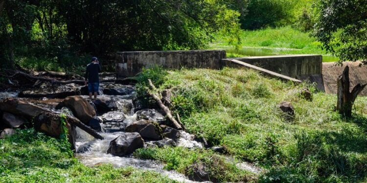 Secretaria do Meio Ambiente de Piripiri realiza trabalho de conservação da Barragem do Horto Florestal