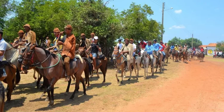 Associação de Vaqueiros de Piripiri vai realizar a primeira Feira de Animais