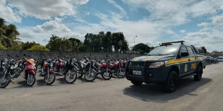 PRF leiloa 230 veículos retidos no Piauí na próxima sexta-feira (24)