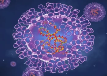 Varíola dos macacos não terá a mesma escala da Covid-19, afirma especialista