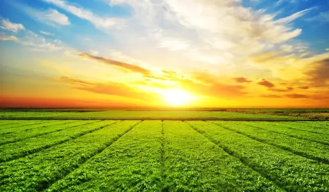 El Niño deve afetar o clima em meados de 2023: quais os impactos para as ações agro?