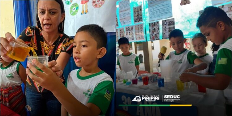 SEDUC de Piripiri realiza primeira etapa da II Feira de Ciência e Tecnologia