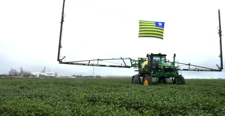 Safra de grãos do Piauí deve ficar entre as cinco maiores do Brasil, diz Aprosoja