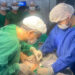 Hospital Regional de Piripiri realiza suas primeiras cirurgias vasculares