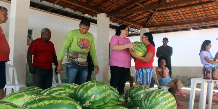 Feira da Agricultura Familiar acontece com apoio total da Prefeitura de Piripiri