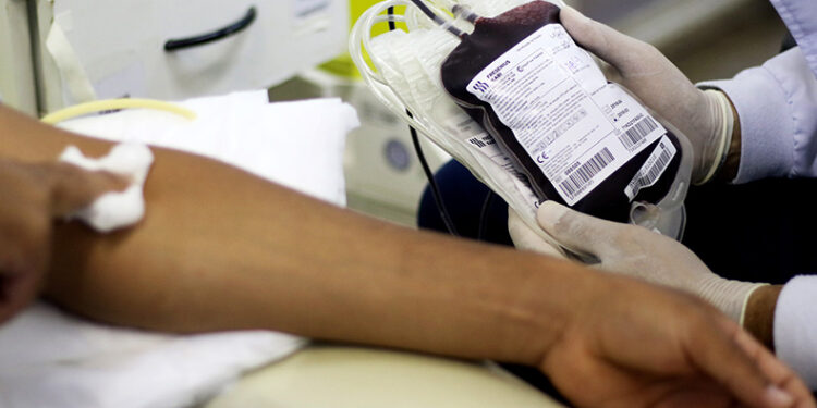 Fiocruz desenvolve kit que detecta sangue infectado com malária