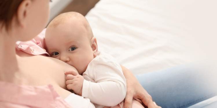 Prefeitura de Piripiri inicia atividades que marcam o Agosto Dourado