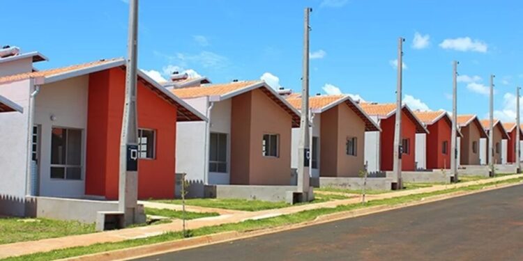 Piripiri ganhará 556 unidades do Minha Casa, Minha Vida