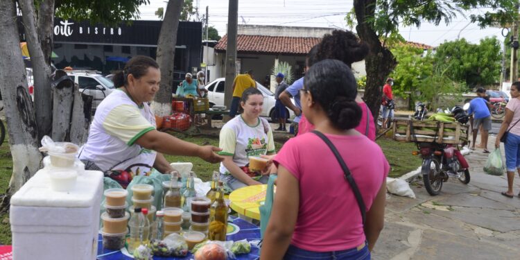 Feira da Agricultura Familiar retorna para o Parque Curumim e atrai mais compradores