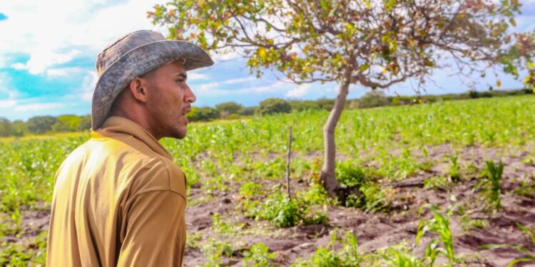 Agricultores de mais 30 municípios do Piauí serão beneficiados com pagamento do Garantia Safra