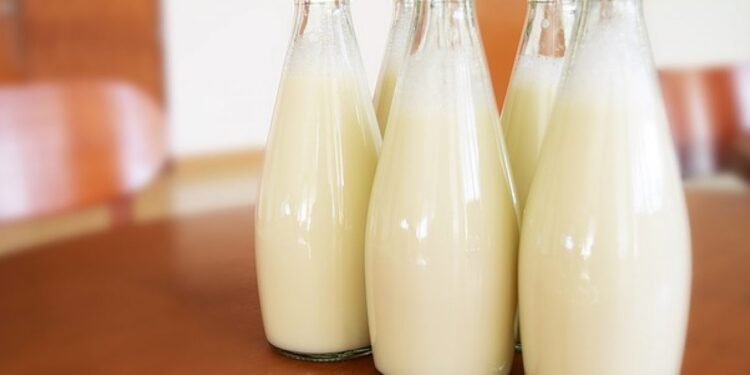 No Piauí, Governo vai distribuir 100 mil litros de leite por mês a partir de maio