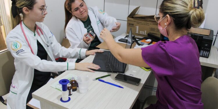 Prefeitura de Piripiri e Governo do Piauí iniciam as cirurgias da Campanha de Castração de Animais