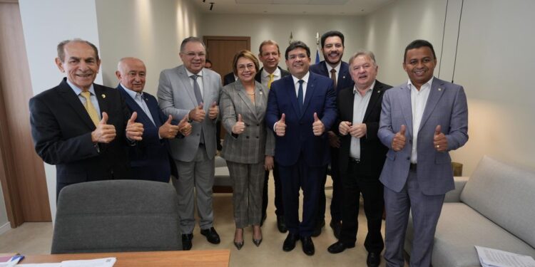 Rafael Fonteles e bancada federal definem saúde e infraestrutura como prioridades no Orçamento Geral da União