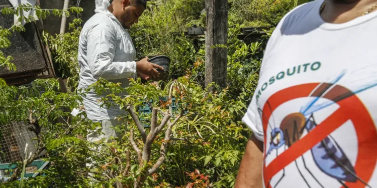 Dia D contra dengue promove ações de conscientização em todo o Brasil