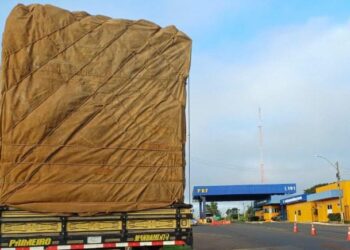 PRF apreende carga irregular de madeira nativa em Piripiri (PI)