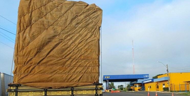 PRF apreende carga irregular de madeira nativa em Piripiri (PI)