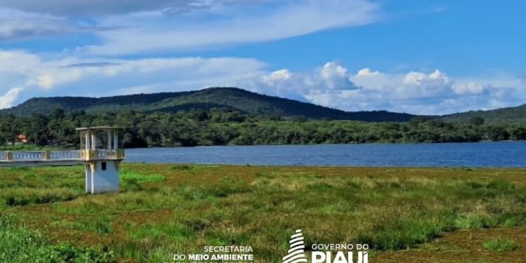 SEMARH investiga causas do surgimento de salvinha e coleta amostras para análise na UFPI