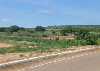 Mais 126 cidades do Piauí entram em estado de emergência por causa da seca