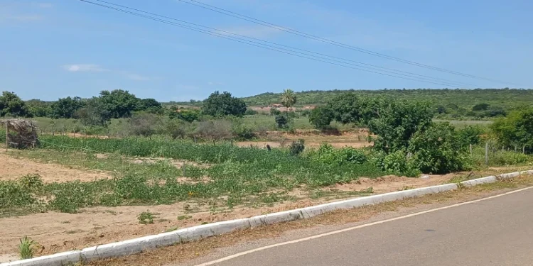 Mais 126 cidades do Piauí entram em estado de emergência por causa da seca