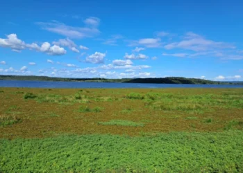 Investigação descarta impactos significativos na qualidade da água do Açude Caldeirão em Piripiri