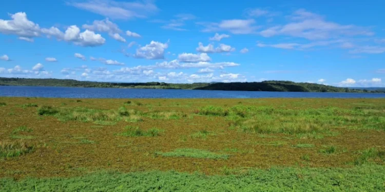 Investigação descarta impactos significativos na qualidade da água do Açude Caldeirão em Piripiri