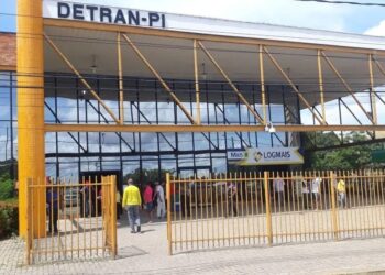 Detran disponibilizará 99% dos serviços veiculares em nova plataforma online até junho, diz diretora-geral