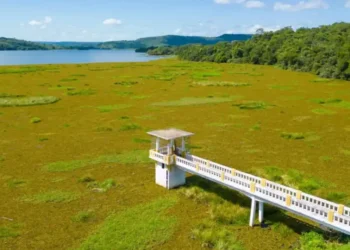 Prefeitura de Piripiri cobra ação do DNOCS e reforça apoio para limpeza do Açude Caldeirão