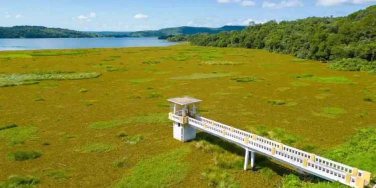 Prefeitura de Piripiri cobra ação do DNOCS e reforça apoio para limpeza do Açude Caldeirão
