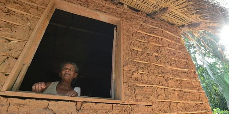 Piauí tem maior percentual de quilombolas vivendo em áreas rurais, diz IBGE