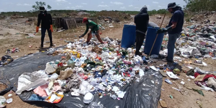 Usina biomecânica de tratamento de resíduos sólidos será instalada em Piripiri para atender 15 municípios