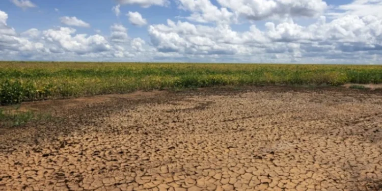 Dobra número de municípios do Piauí em situação de seca grave; veja lista
