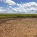 Dobra número de municípios do Piauí em situação de seca grave; veja lista