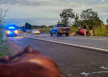 Casal fica ferido após colidir com cavalos soltos na BR-343, entre Altos e Campo Maior