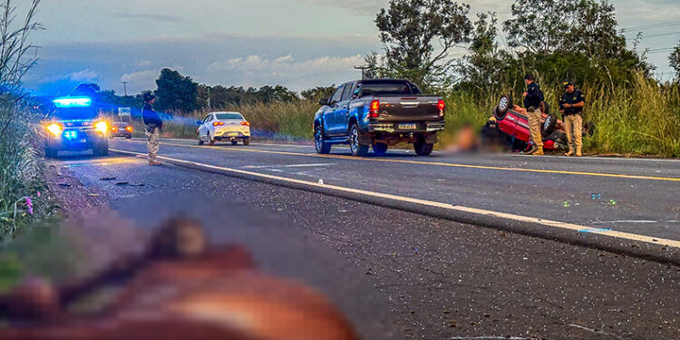 Casal fica ferido após colidir com cavalos soltos na BR-343, entre Altos e Campo Maior
