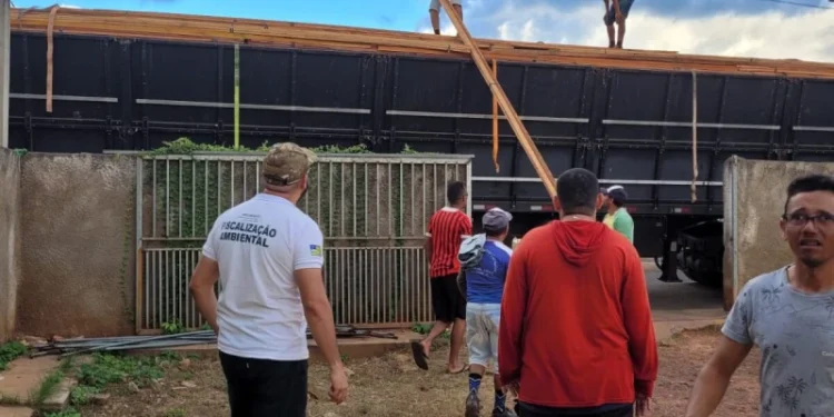 PRF apreende madeira ilegal em Parnaíba equivalente a derrubada de 500 árvores nativas