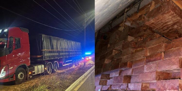 PRF de Piripiri prende motorista com documento falso e outro com madeira sem licença